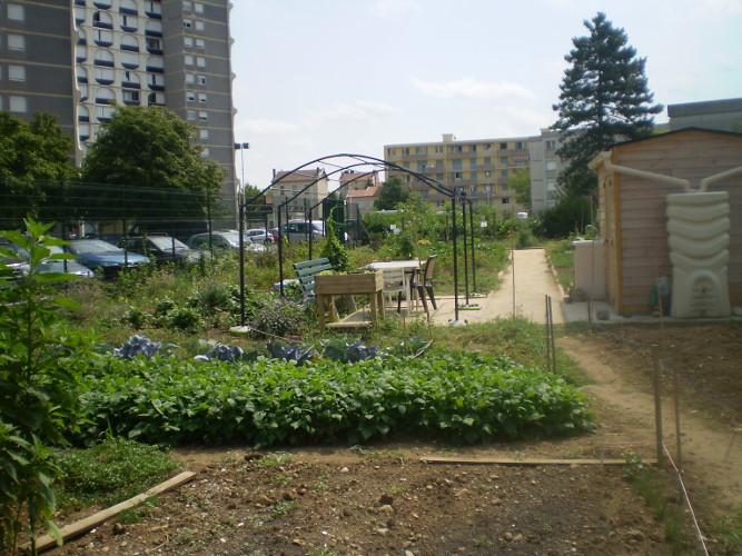 Jardin